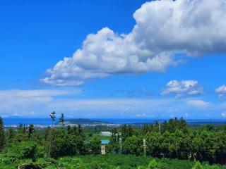 Jeju Happiness Pension - 9