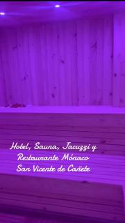 Hotel Sauna Jacuzzi Restobar Mónaco - San Vicente de Cañete - 2