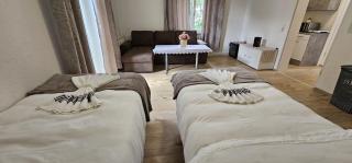 Selma Apartments - Dresda - 9