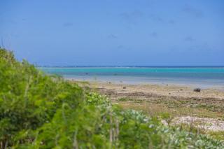 Villa Fukugi - Ishigaki-jima - 5