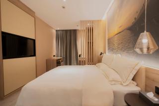 Youth Sunshine S Hotel Tianhong Songbai Branch - Xiamen - 1