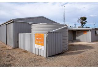 Chrissie's Dongara - Kimba - 9