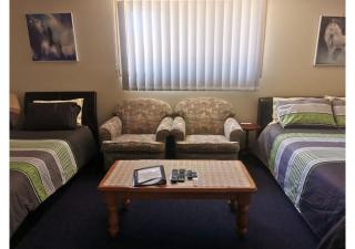 Chrissie's Dongara - Kimba - 4