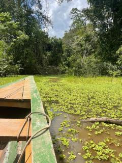 Amazon eagle Explore - Nauta - 1