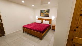 Melilew Boutique Hotel - Paramaribo - 3