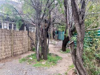 La casa en el arbol - El Ingenio - 1