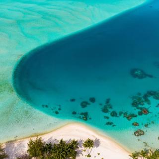 Hinaarii House - Bora Bora - 5