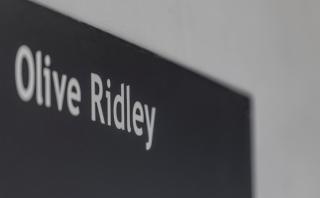 The Frangipani Tree by Edwards Collection - Thalpe - 4