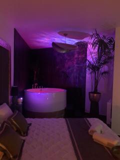 L Emeraude des marais loveroom Bourges - 6
