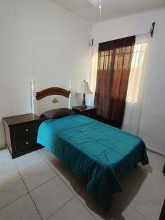 Connected House in Torreón - Torreón - 2