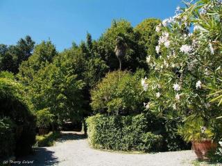 Cosy Farmhouse in Bacchereto with Swimming Pool - Carmignano - 8