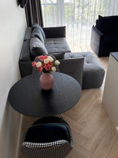 Gold holiday Apartments - "Black & White" Mano jūra 2 - Palanga - 6