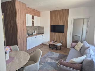 President kop apartment - Kopaonik - 0