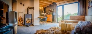 Modern Chalet With Sauna Near Thuringian Forest - 9