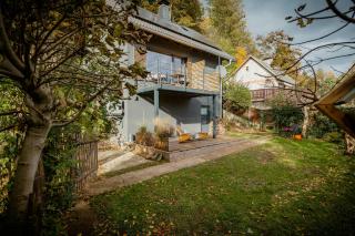 Modern Chalet With Sauna Near Thuringian Forest - 8