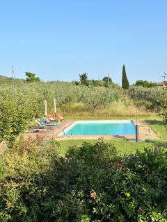 Eri tra gli Ulivi - Gropina - 8