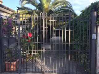 Il Giardino segreto Forte dei Marmi - Forte dei Marmi - 4