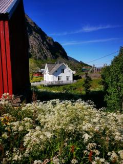 Moskenes i Lofoten, autentisk hus midt i fiskeværet Å - 1