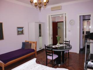 Apartments ABA Zagreb - Zagreb - 1