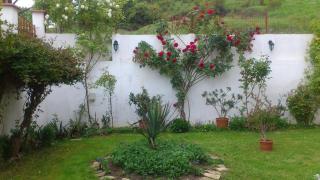Petrovi Guest House - Obzor - 8