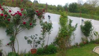 Petrovi Guest House - Obzor - 6