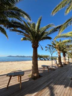 70m2, 2 chambres pour 4 Pers avec Terrasses a 200m des Plages, Palmbee Cannes - Cannes - 0