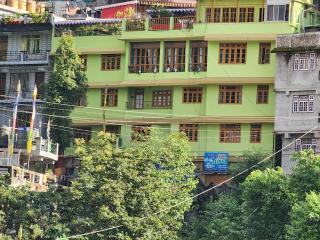 Veronica Alpina Mountain View - Darjeeling - 9