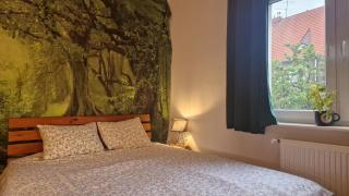 NEW PORT Apartment - 6