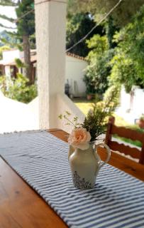 PARACHOS Trulos beach accomodation 500 metres from the sea - Città di Skiathos - 5