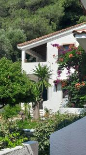 PARACHOS Trulos beach accomodation 500 metres from the sea - Città di Skiathos - 4
