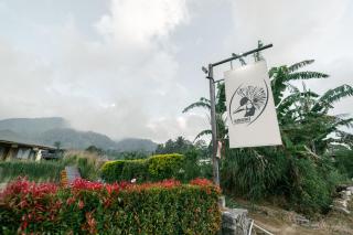 Kibubu For Ever - Bedugul - 9