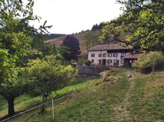 Gite de la Ferme de la Bouille - Sainte-Croix-aux-Mines - 1