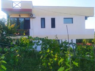 Hotel Shindisi Inn Tbilisi - 4