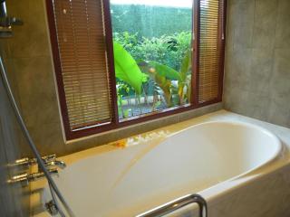 Sucholtee Resort - Surat Thani - 8