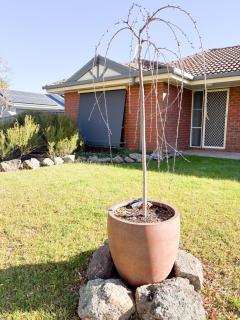 4 Bedroom on Kimberley - Lake Albert - 8