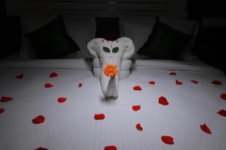 Delano Residency - Kaliyal - 7