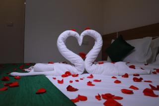 Delano Residency - Kaliyal - 4