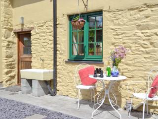 Hen Efail - Old Smithy - Tregaron - 4