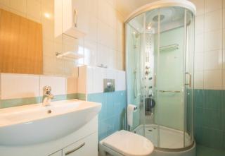 Villa Green House, a warm and beautiful pet friendly villa - Gradišće - 5