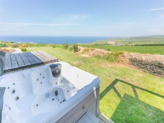 Lower Hendra Cottage - Port Isaac - 9