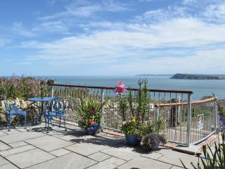 View At The Peak - Goodwick - 0
