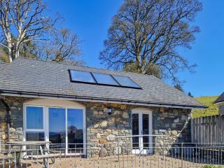 Berwyn - Uk48507 - Bala - 1