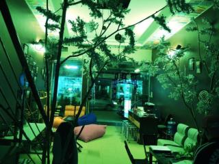 Halong Happy Hostel - Ha Long - 6