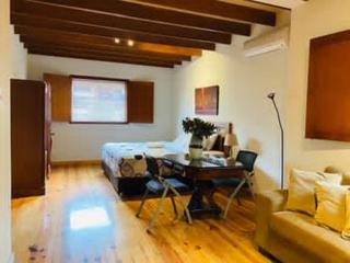 Mini Apartamento con ingreso independiente - 0