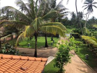 C J Beach Resort - 2