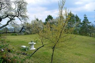 Kirschhütte - - 7