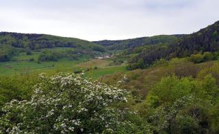Kirschhütte - - 2