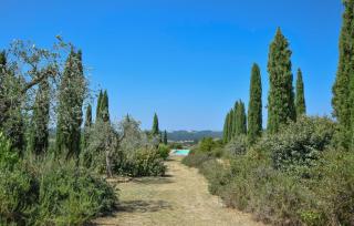 Amazing Apartment In San Vito In Monte - Baccano - 2