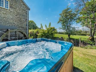 Dyffryn Glanffrwd Mill - Cellan - 9