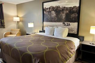 Super 8 by Wyndham Gas City Marion Area - Gas City - 4
